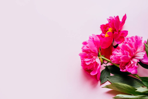 Rózsaszín bazsarózsa virág csokor - Fotó, kép