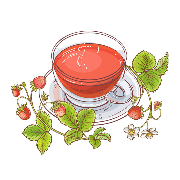 cup of strawberry tea illustration on white background - Vector, Imagen
