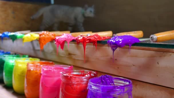 um salto de gato na mesa de cores. colorido de tinta em torres estão pingando para barril de grama. loja de tinta ou tinta para impressão em camiseta na fábrica de camiseta
 - Filmagem, Vídeo