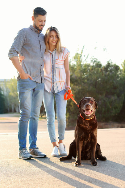 Owners walking their brown labrador retriever outdoors - Photo, Image