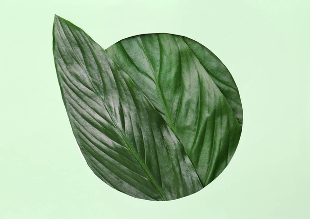 Beautiful composition with tropical leaves on color background, top view - Foto, imagen