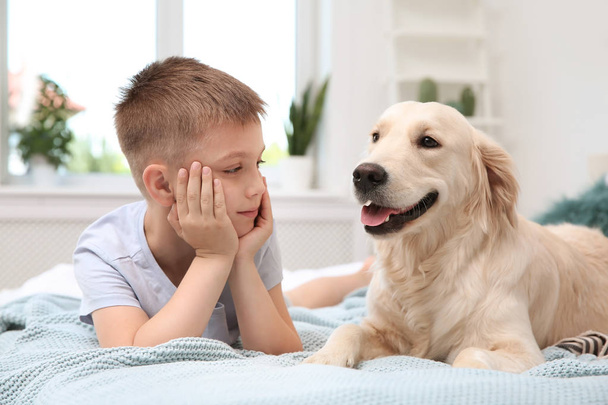 Cute little child with his pet on bed at home - Foto, afbeelding