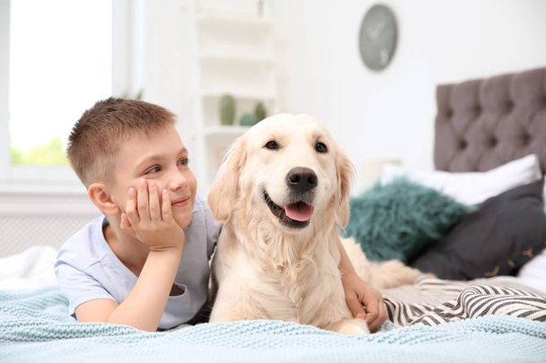 Cute little child with his pet on bed at home - Foto, Bild