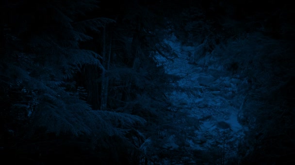 Vysoký úhel záběru Lesní řeky v noci - Záběry, video
