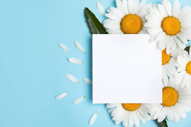 Beautiful floral composition with chamomile flowers and card on color background, top view - Foto, afbeelding