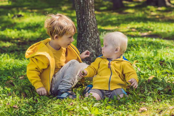 Kaksi onnellista veljeä keltaisissa paidoissa syyspuistossa
 - Valokuva, kuva