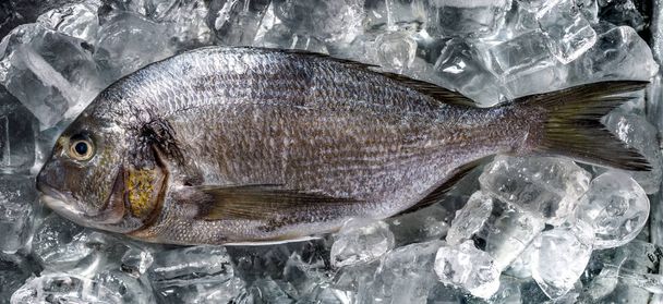 ドラダの原料と新鮮な魚氷、平面図の上。シーフード、魚 - 写真・画像