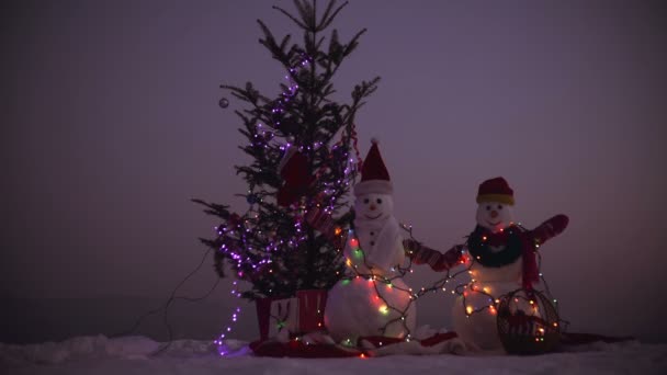 Hyvää uutta vuotta Lumiukon kanssa. Lumimiehet onnellinen pari. Lumimiehet juhlivat. Hyvää joulua ja onnellista uutta vuotta. Happy lumiukko seisoo talvella joulun maisema
 - Materiaali, video