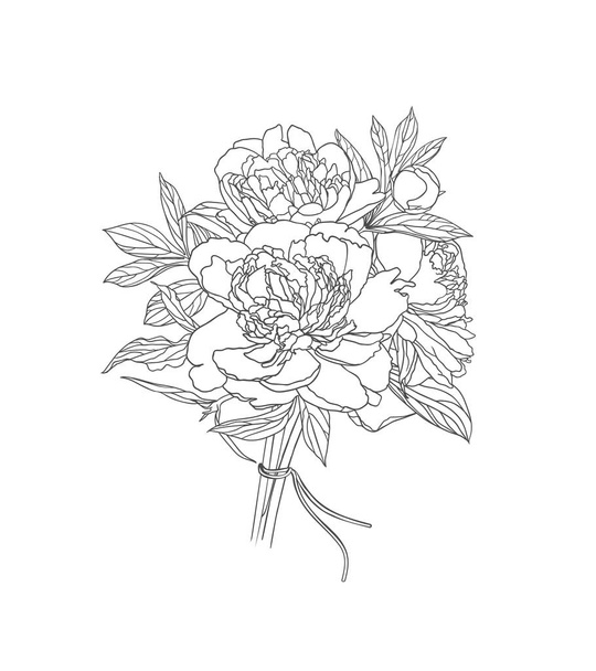 Linear vector bouquet of peony flowers. Black on white linear illustration - Вектор,изображение