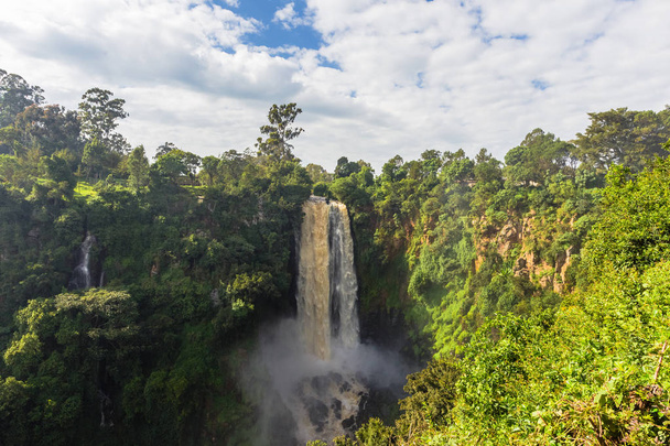 Landschap met een waterval omringd door wilde bos. Thompson waterval. Kenia, Afrika - Foto, afbeelding