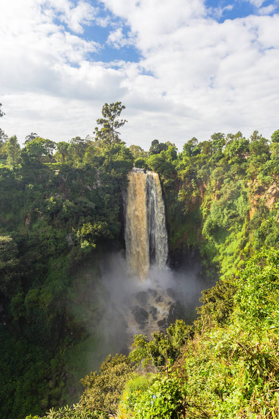 Paisagem com uma cachoeira cercada por vegetação. Cachoeira Thompson. Quénia, África
 - Foto, Imagem