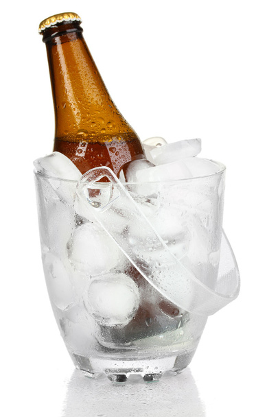 Beer bottle in ice bucket isolated on white - Photo, Image