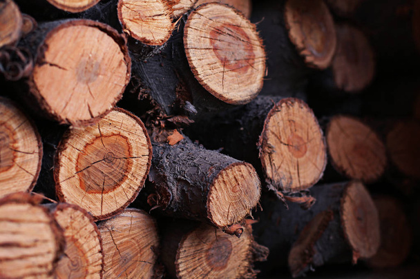 Staré dřevěné hranoly jsou pevně umístěny společně - Fotografie, Obrázek