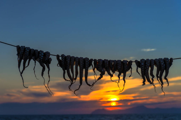 Сушка осьминога на греческом острове
 - Фото, изображение
