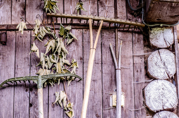 Wooden wall of the rural hut with wooden agricultural implements. Old rakes. Farm tools equipment. - Valokuva, kuva