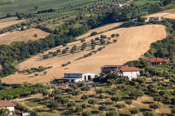 Vista panorámica de olivares y granjas en colinas de Abruzos
  - Foto, imagen