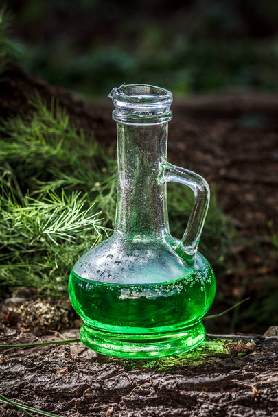Стеклянный сосуд с зеленым травяным зельем в лесу на стволе упавшего дерева. Травяной и магический эликсир. Концепция гомеопатической медицины
 - Фото, изображение