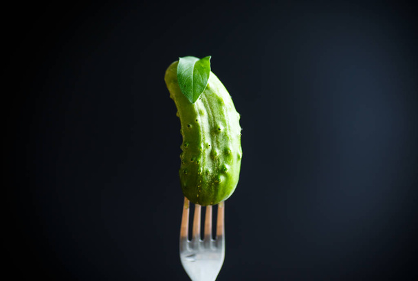 fresh green cucumber - Фото, изображение