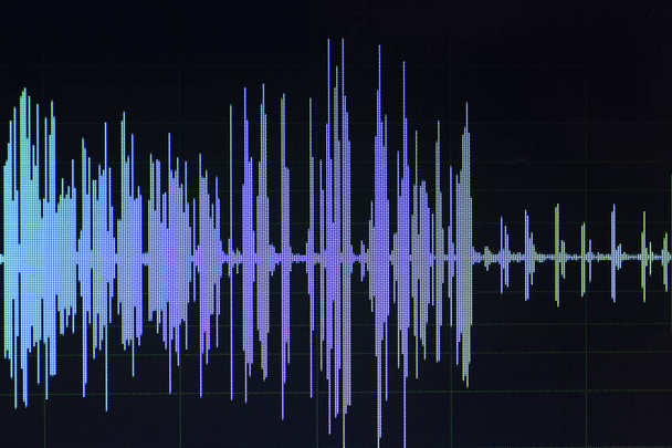Audio sonido onda estudio edición programa de computadora pantalla muestra sonidos en la pantalla de grabación vocal de voz en off
. - Foto, imagen