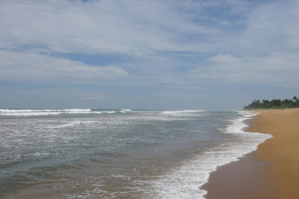 Tropical sandy beach in Sri Lanka - Φωτογραφία, εικόνα