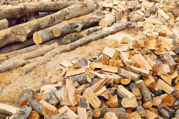 Стовпи дров у лісопильні. Купа дров. фон з дров
 - Фото, зображення