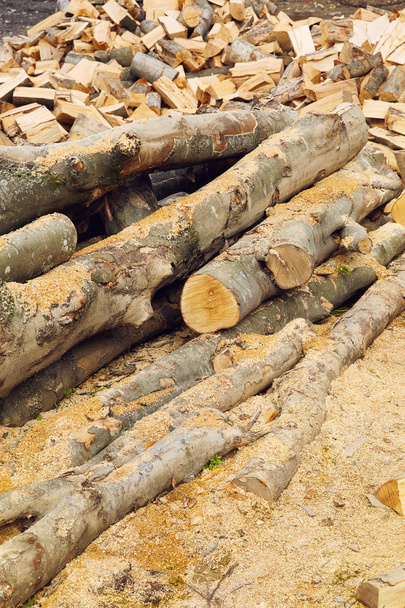 Des piles de bois de chauffage dans la scierie. Une pile de bois de chauffage. Fond bois de chauffage - Photo, image