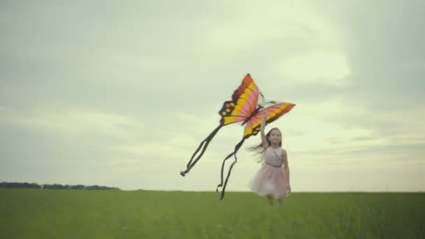 girl running around with a kite on the field. Freedom concept. - Footage, Video