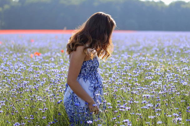 Кукурудзяні квіти / Дівчина на синьому
 - Фото, зображення