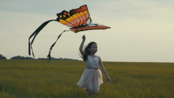 Dziewczyna biegają z latawcem na polu. Pojęcie wolności. - Materiał filmowy, wideo