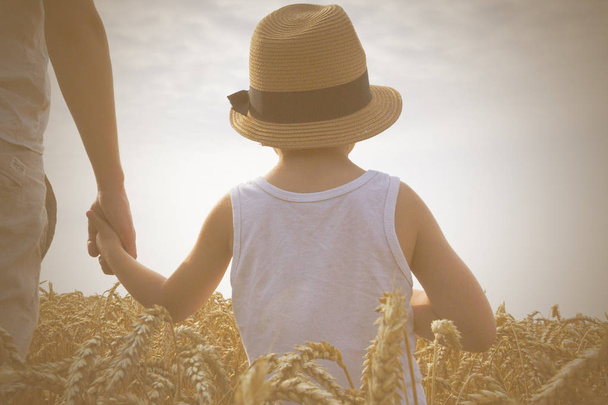 Happy family. Father and son looking at the sun in the wheat field. Backview.  - 写真・画像
