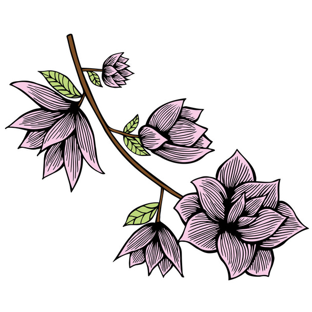 Magnolia flowers drawing and sketch with line-art on white backgrounds. - Vector, afbeelding