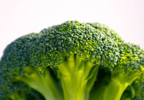 Branch of fresh tasty green broccoli cabbage. Photo depicts a bright colorful natural beautiful delicious broccoli, isolated on a white background. Close up, macro view. - Foto, Imagem