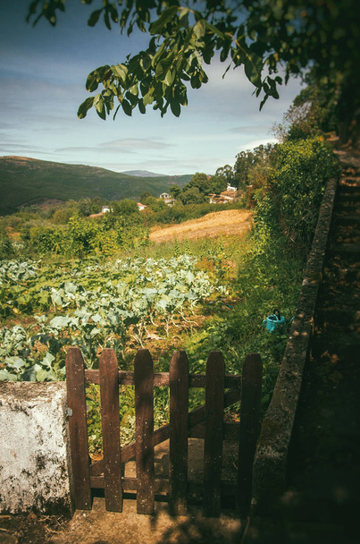 Vida agrícola na paisagem rural no centro de Portugal
 - Foto, Imagem