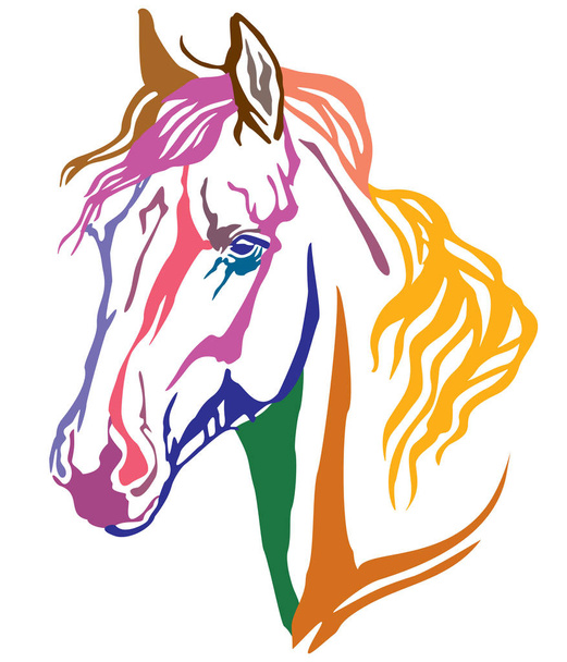bunte dekorative Porträt des arabischen Pferdes, Vektorillustration in verschiedenen Farben isoliert auf weißem Hintergrund. Image für Design und Tätowierung.  - Vektor, Bild