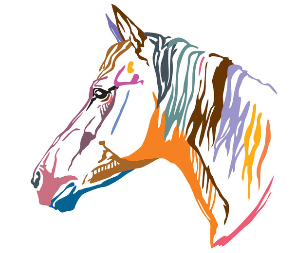 Barevné Dekorativní portrét koně, vektorové ilustrace v různých barvách, izolované na bílém pozadí. Obrázek pro design a tetování.  - Vektor, obrázek