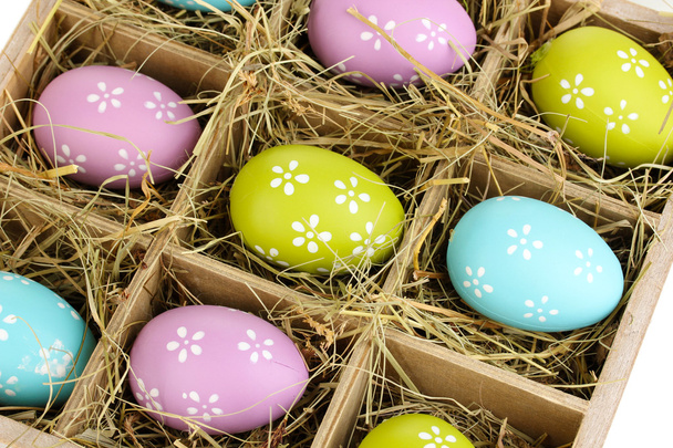 Easter eggs in wooden basket close up - 写真・画像