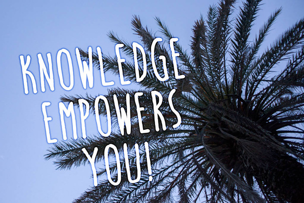 Rukopis textu znalosti zmocňuje zavoláte. Koncept význam vzdělávání odpovědné k dosažení úspěchu vysoký palmový strom modrá obloha nápady zprávy myšlenky pocity odrazy - Fotografie, Obrázek