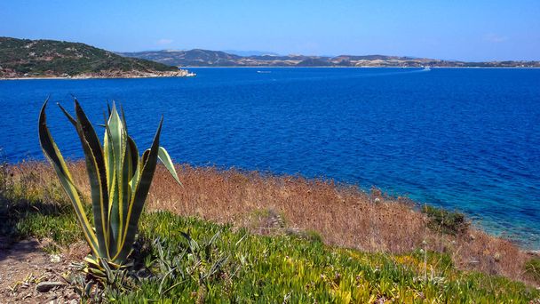 Ammouliani island, Athos, Chalkidiki, Central Macedonia, Görögország partvonala  - Fotó, kép