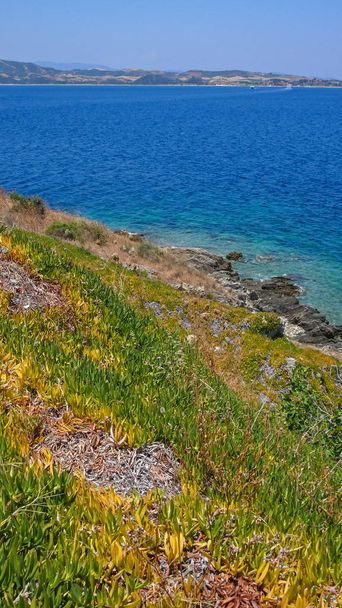 Brzegiem morza na wyspie Ammouliani, Athos, Chalkidiki, Central Macedonia, Grecja  - Zdjęcie, obraz