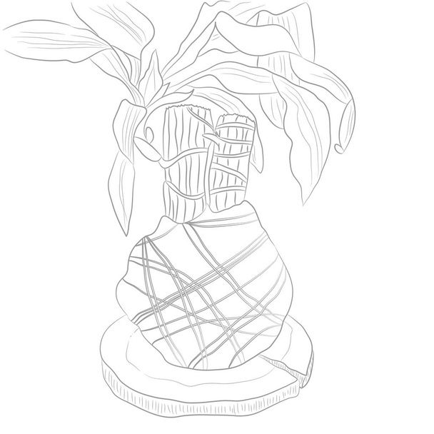 Vektorové ilustrace dračinec vonný pro omalovánky. Kontury kresby rostlin v šedé barvě. Květina v Art stylu čáry - Vektor, obrázek