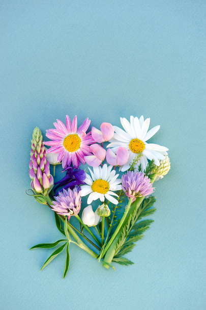 a variety of wild flowers, daisies, lupine, onions and herbs, a flat bouquet in the form of a heart on a paper blue background, Botanical pattern. - Fotografie, Obrázek