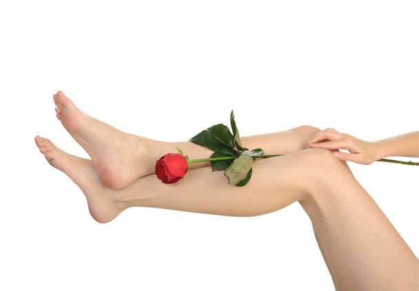 Female legs with rose isolated on white background - Photo, image