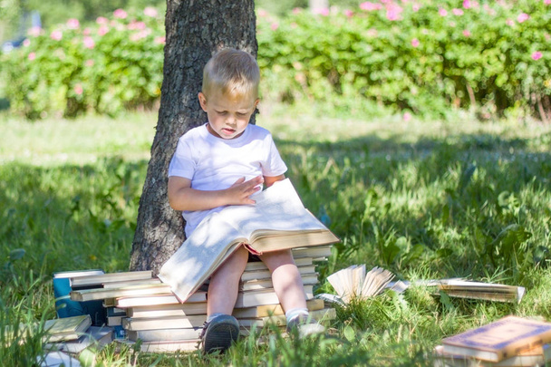 education, knowledge, and people concept - little prodigy Boy is reading big book in garden. Staircase and Steps of Books - Fotografie, Obrázek