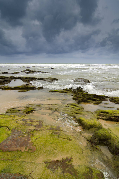 groene mossy op rock raken door zachte golven over donker en bewolkte sky.selective focus shot - Foto, afbeelding