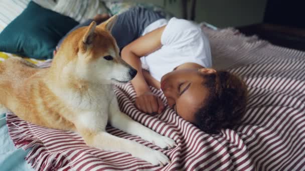 Charming African American lady is sleeping on wooden bed with modern linen while her cute loyal dog is lying beside her and licking its muzzle. - Filmagem, Vídeo