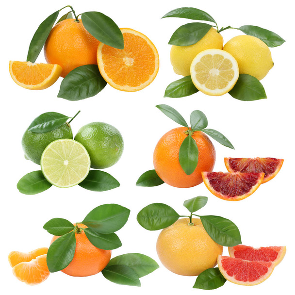 Collection of oranges mandarin lemon grapefruit fruits isolated on a white background - Foto, Imagem