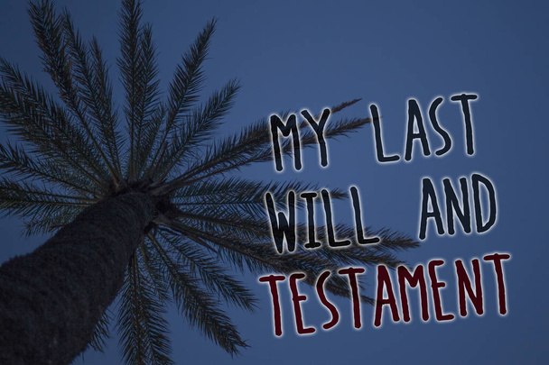 Text sign showing My Last Will And Testament. Conceptual photo List of things to be made after his or her death Tree palm sky blue natural scene landscape love message memories beautiful - Photo, Image