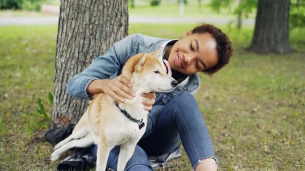 Slow motion of happy dog owner attractive young woman caressing cute shiba inu dog fussing its fur and looking at it with tenderness resting in park in summer. - Imágenes, Vídeo