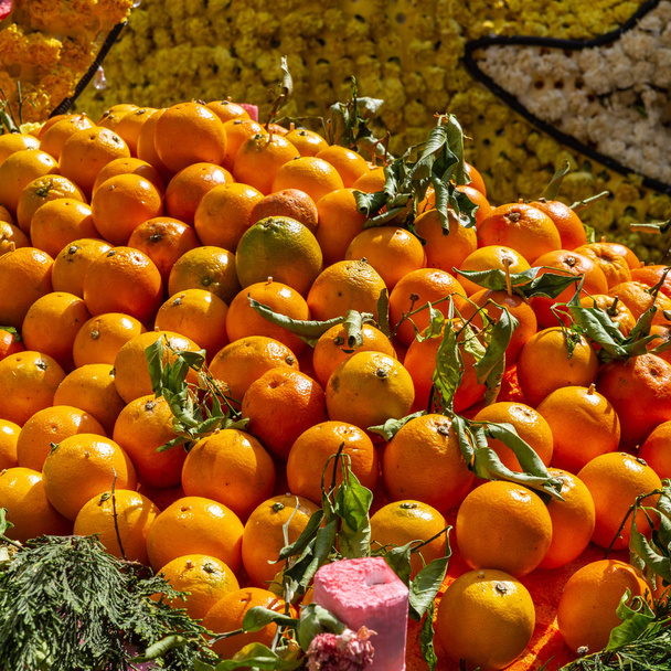 μεγάλο καλάθι με θαυμάσια πορτοκάλια της Σικελίας - Φωτογραφία, εικόνα