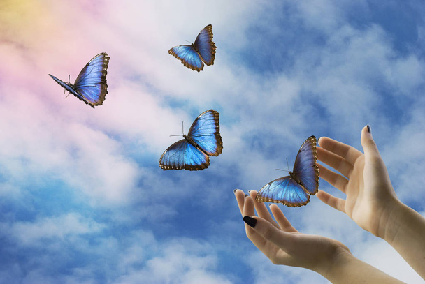 Откройте руки, отпустите красивых голубых бабочек в мистическом небе.
 - Фото, изображение